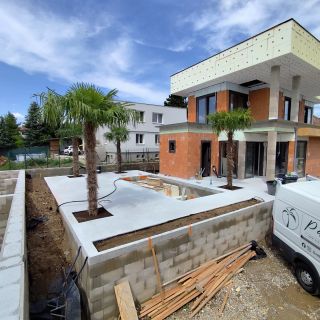 Dnes sme boli vysádzať štyri krásne palmy Trachycarpus fortunei do novostavby rodinného domu. Výsadba od A po Z je u nás...